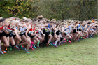 Girls under-15s National Cross Country Relay, Berry Hill Park, Mansfield. Photo:  David T. Hewitson/Sports for All Pics